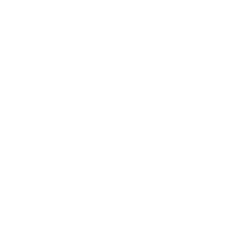 ARZIO